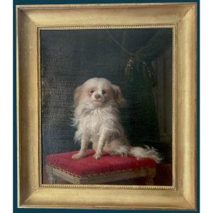 Delamarre Jacques-barthélémy (active In 18th) Attrib To "portrait Of A Dog" Oil/canvas, Frame