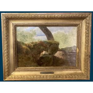 Töpffer Rodolphe (1799-1846) "landscape, Trunk & Rocks" Oil/paper, 19th Frame And Cartridge