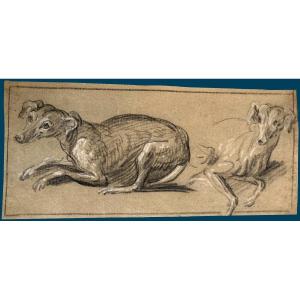 Northern School 18th Century "study Of Dogs" Drawing/black Chalk, White Chalk, Provenance/stamp