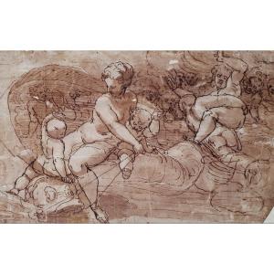 Italian School, 16th Century "galatea" Drawing/pen, Brown Wash, Théophile De Baranowicz Collection