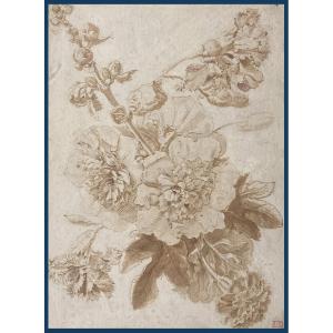Monnoyer Antoine (1671-1747) Attributed To "study Of Flowers" Drawing/pen, Wash, Provenance/stamp