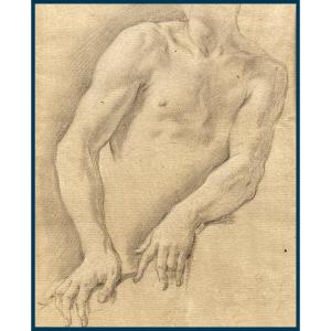 French School 18th Century "torso And Arm" Drawing/black Chalk, Giltwood Frame/18th Century