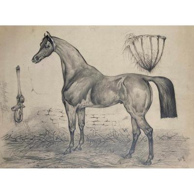 French School 19th Century "a Horse" Drawing In Black Pencil, Annotated