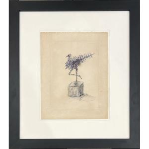 César, César Baldaccini Dit - Poulette - Pencil And Ink On Etching Background - 1981