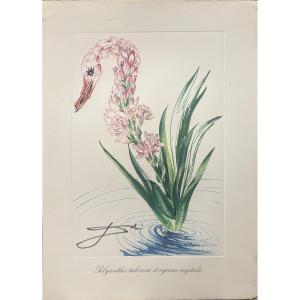 Salvador Dali - Polyanthes - From The Surrealist Flowers Series - Lithograph - 1972