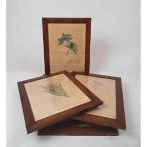 Set Of 7 Engravings - 19th Century