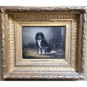 Oil On Panel "portrait Of A Dog" English School 19th