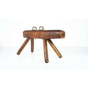 Vintage Leather Pommel Horse