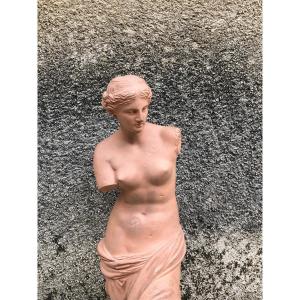 Venus De Milo Workshop Terracotta Late 19th 