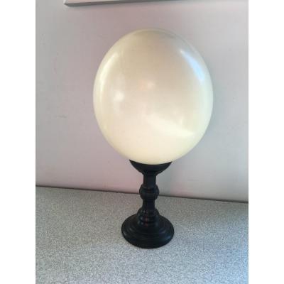 Ostrich Egg