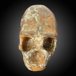 Sculpture Of A Hominid Specimen In Glazed Sandstone – Collection – Cabinet Of Curiosities – 20th Century