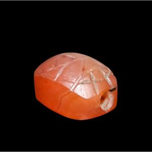 Engraved Scarab, Phoenicia, 1200–600 Bc