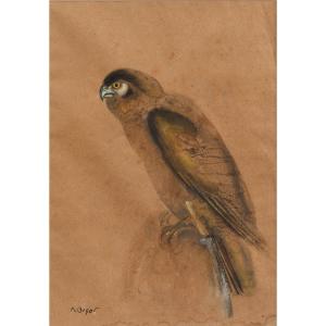 Raymond Bigot (1872-1953) - "peregrine Falcon"