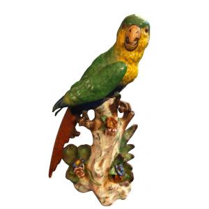 Small Macaw Parrot, Uncommon Model, Signed Capodimonte - 20th Century