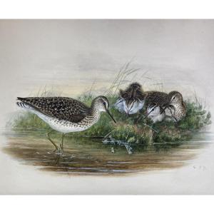 Henry Constantine Richter