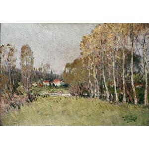 Pierre Eugene Montezin (1874 – 1946) “landscape With Birch Trees” Oil On Canvas 32x44.5 Cm