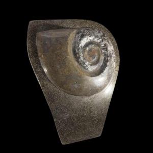Ammonite, Large Fossil Sculpture 53cm To Pose