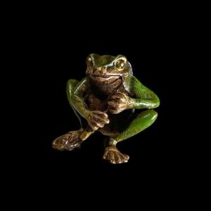Vienna Bronze "musician Frog" Patinated Bronze Sculpture, Ca 1900