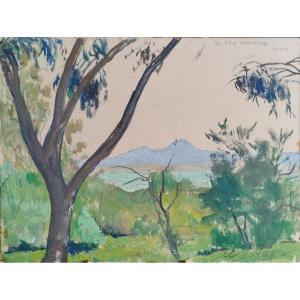 André Lemoigne "view Of Tunis, Le Bou Kornine" Oil On Cardboard