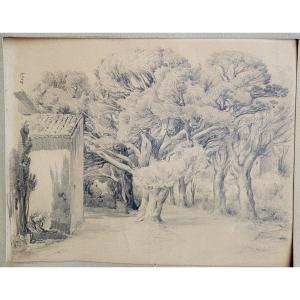 Félix Ziem (1821-1911) The Pine Avenue