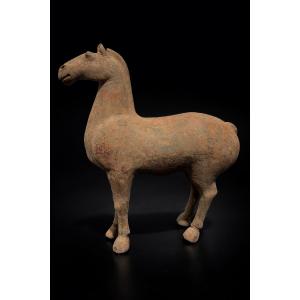 China - Funeral Horse - Han Dynasty - Tl