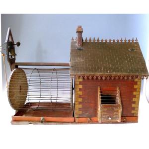 Rodent Cage 