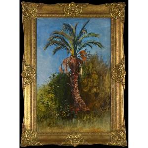 Felix Possart 1837-1928. German School. "palm Tree."