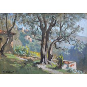 Wegelin émile (1875-1962) “olive Trees In Falicon” Provence Nice Alpes Maritimes Lyon Apremont
