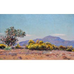 Montenard Frédéric (1849-1926) “broom In Bloom In Provence” Toulon Var Coudon Marseille 