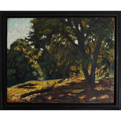 Seyssaud René (1867-1952) "the Peacocks Under The Olm Oaks At Font-ségugne" Avignon Provence Marseille Chateauneuf-du-pape Paris