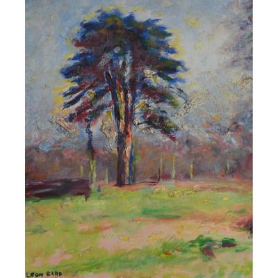 Gard Léon (1901-1979) "cedar In The Parc Des Bonshommes" Isle Adam Tulle Paris Winter