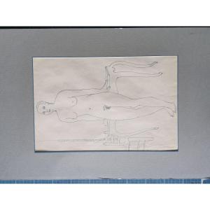 Alexandre Darmon, Born In Oran In 1933