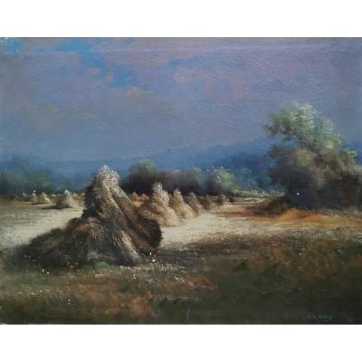 The Sheaves By C. De. Marco