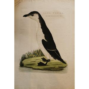 Cornelis Nozeman Naturaliste Neerlandais