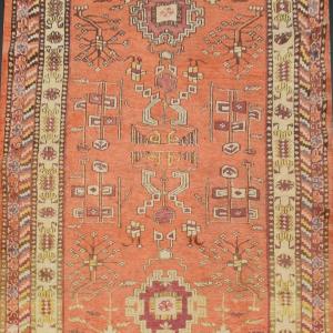 Rug Khotan Turkestan - Samarkand : 285x138 Cm "galerie Sardje"