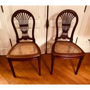 Pair Of Louis XVI Mahogany Chairs - Hot Air Balloon Backrest