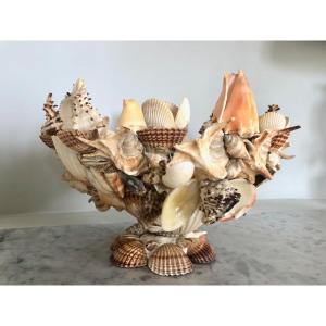 Large Cup In Glued And Varnished Shells