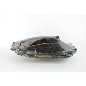 Claude Champy, Beautiful Black Box