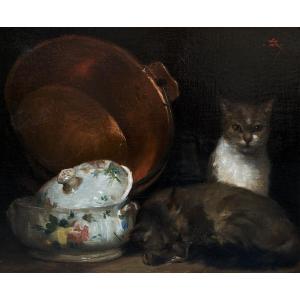 19th Century French School. The Two Cats. Oil On Canvas.