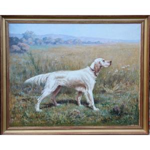 English Setter By Henri Thevenin