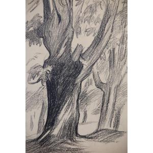 Corsica By Victor Prouve (1858-1943)