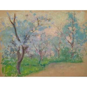 Raymond Thibésart (1874-1968) - Bosquet En Fleur - Pastel - Framed