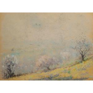 Raymond Thibésart (1874-1968) - Plain Of Plum Trees In Bloom - Pastel - Framed