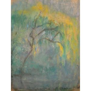 Raymond Thibésart (1874-1968) - Weeping Willow In Flower - Pastel - Framed - Signed