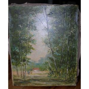 Antique Oil Painting On Canvas Signed Pierre Stéfani, Born In 1938, Woodland Clearing Landscape