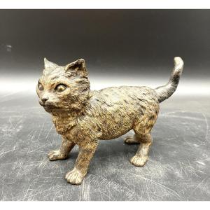 Vienna Bronze Cat Signed Geschützt And Monogram Fb By Franz Xavier Bergmann
