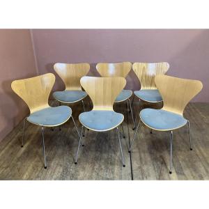 Arne Jacobsen For Fritz Hansen Series Of 6 Series 7 Chairs (model 3107) Danish Design
