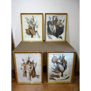 Série De 4 Lithographies Nature Morte Trophées De Chasse Adam