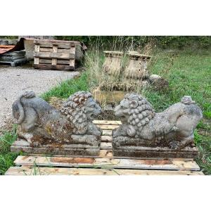 Pair Of Garden Lions In Reconstituted Stone Early XX Eme Century