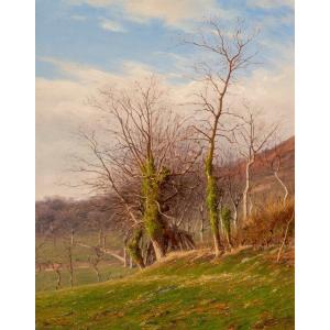 Charles Bertier (1860-1944). Walnut Trees At The End Of Winter